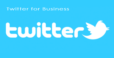 Who Uses Twitter for Business Anyhow?